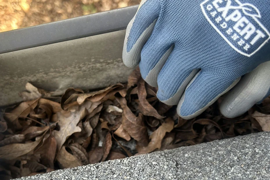 East Rockaway Gutter Cleaning